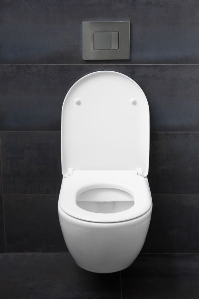 Toilet Lid Installation in Fort Collins