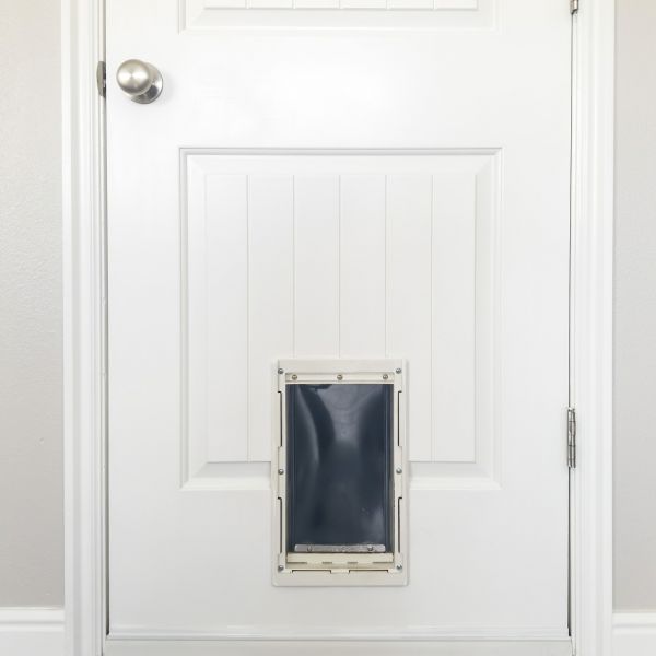 Pet Door Repair in Fort Collins
