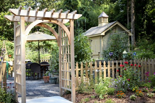 Trellis Mounting in Fort Collins