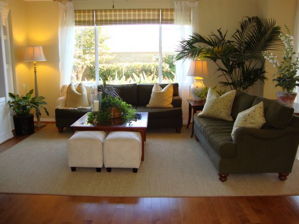 Valance Rod Installation in Fort Collins