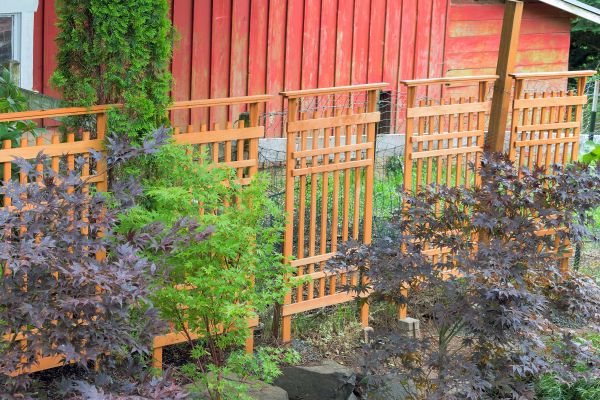 Wood Trellis Mounting in Fort Collins